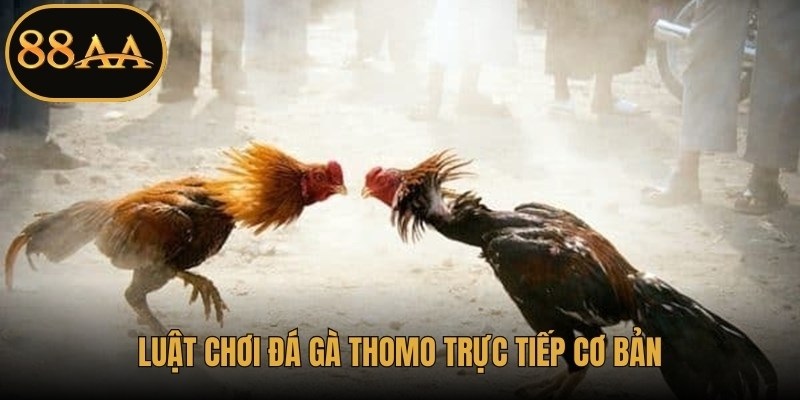 Luật chơi đá gà Thomo trực tiếp cơ bản